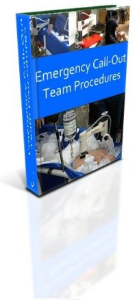 Overview of Emergency Call-Out Team
                      Procedures